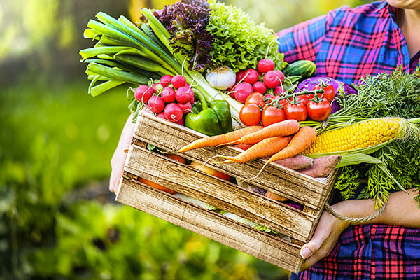 <span> Cap'Aimargues</span> en action avec et pour les acteurs économiques !